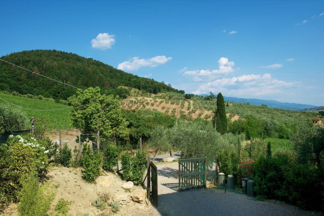 I Veroni - Agriturismo And Wine Cellar Pontassieve Exterior foto